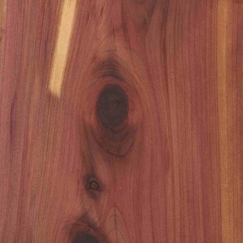 aromatic red cedar