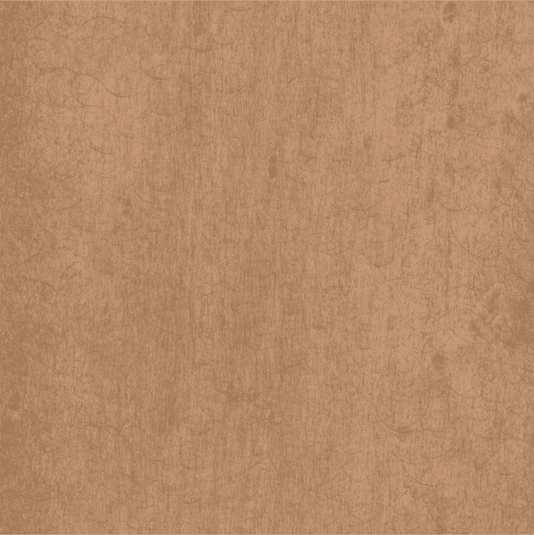 Biscuit maple 2025
