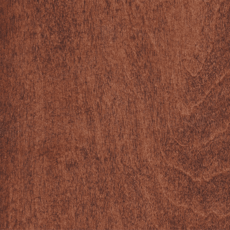 Cider maple 2025