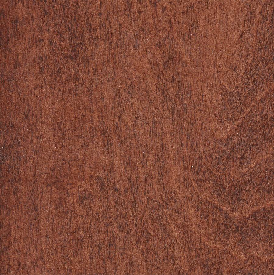 Cider maple 2025