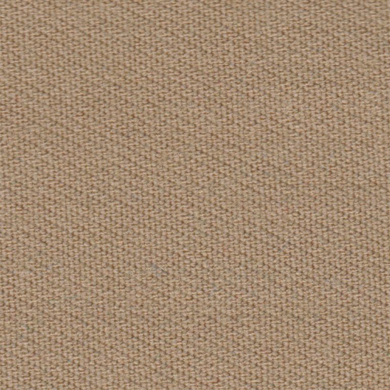 Speedball Camel