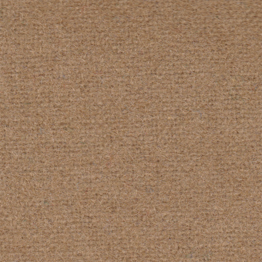 Standard Camel