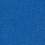 Euro Blue