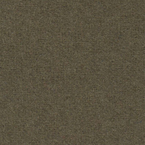 Standard Olive