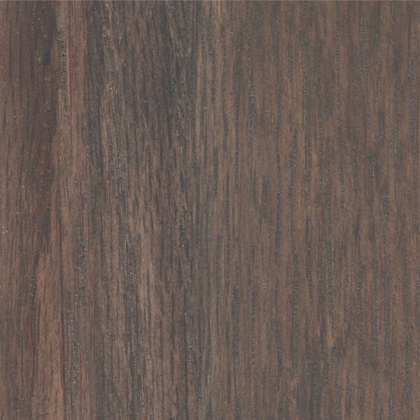 Beachwood oak 2025