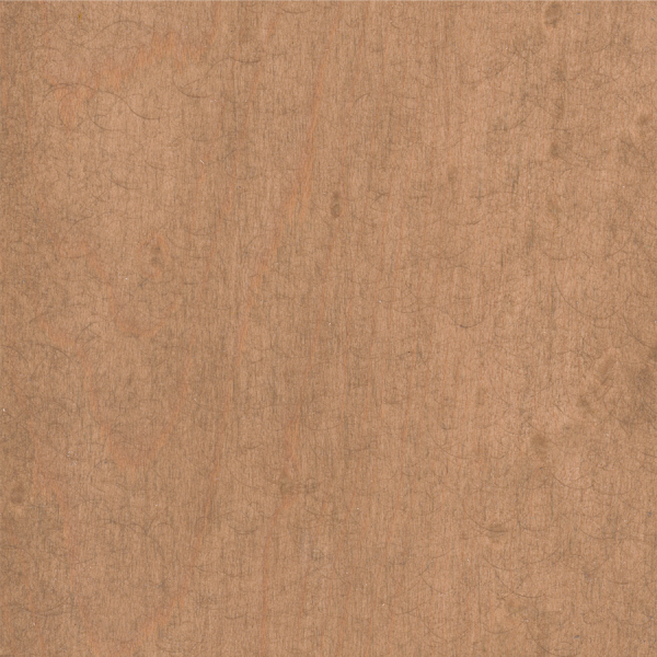 Biscuit maple 2025