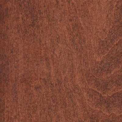 Cider maple 2025