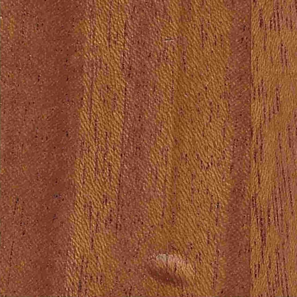 African Mahogany