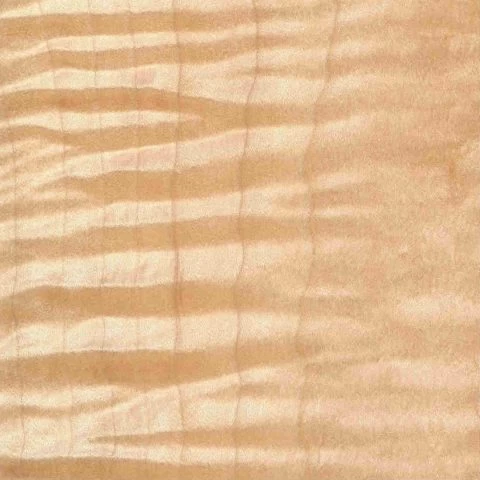 wood options curly hard maple